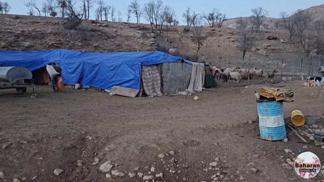 Nomadic Life/ And Abandoning Imran's Pride