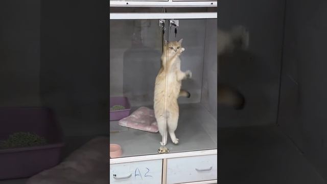 На танцполе смотреть онлайн