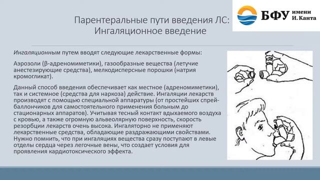 Понятие о введении ЛС в организм и биотрансформации веществ смотреть онлайн