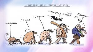 Формула успеха ч.2 Социальный паразитизм и идиотизм как основа богатства.mp4