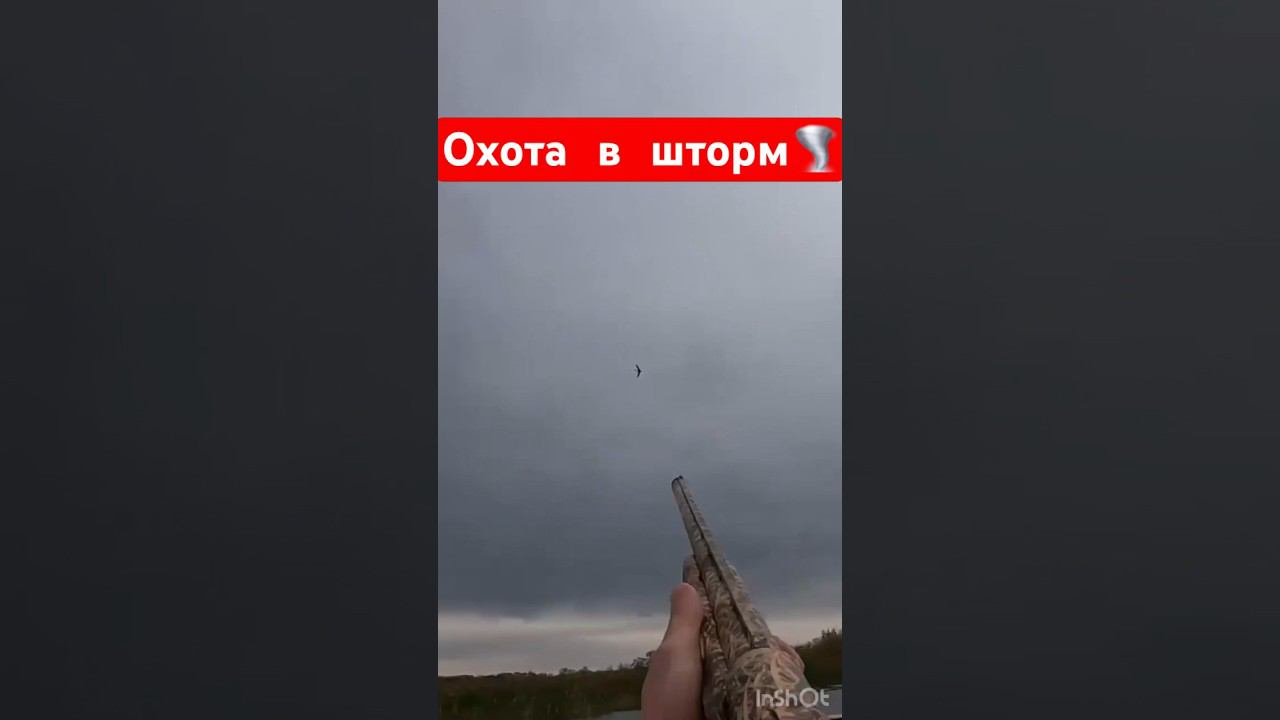 Охота на утокВыстрел 40+ смотреть онлайн