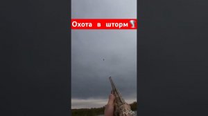 Охота на утокВыстрел 40+