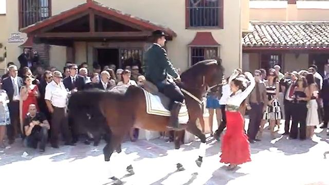 Baile flamenco cortesía de salón de celebracione sBellavista en Olvera.MPG смотреть онлайн