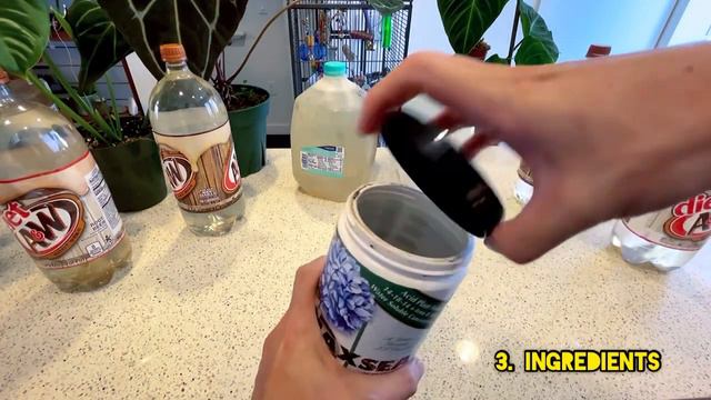 My Top 5 Ingredients To Grow Big Tropical Plants At Home смотреть онлайн