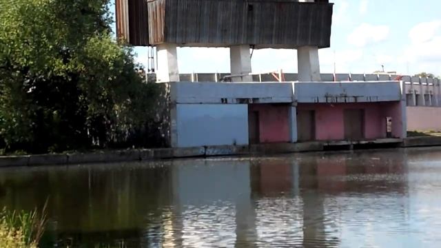 Уточки плывут на пруду в ЦПКиО (июнь 2017) смотреть онлайн