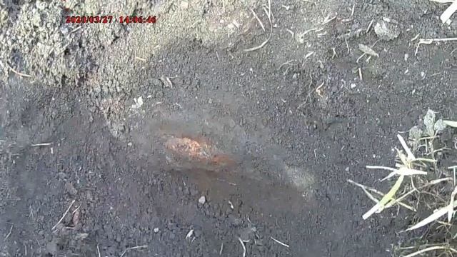 ПОИСК МЕТАЛЛА И ЕГО КОП смотреть онлайн