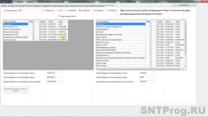 Бухгалтерский баланс СНТ