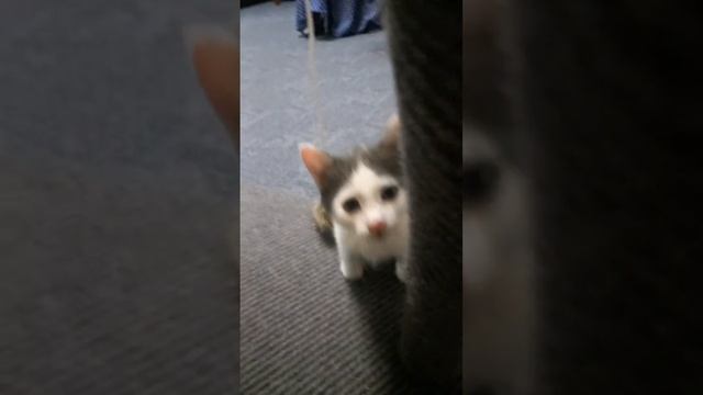 Пятнашка татарка смотреть онлайн