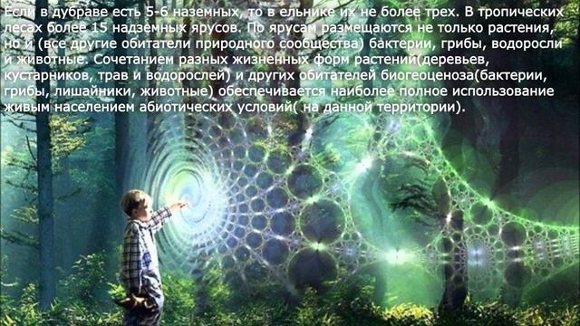 31. Совместная жизнь организмов в природном сообществе. Биология 6 класс - Пономарева. смотреть онлайн
