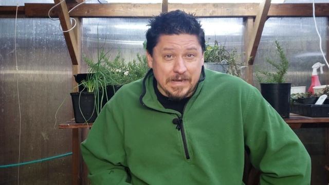 Direct Seeding Vs Starter Plants - A Beginner's Guide On How To Plant Your First Garden