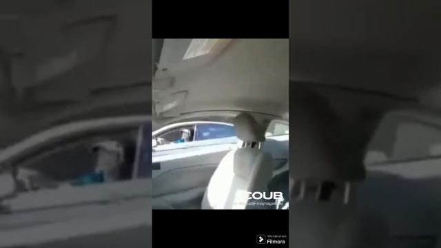 3 random coub videos #9 смотреть онлайн