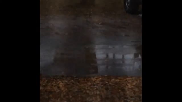 8 ноября. Утро под шум дождя смотреть онлайн