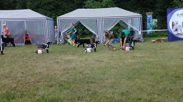 День ризена - 2014: Ocharovatelnaya Orabella смотреть онлайн