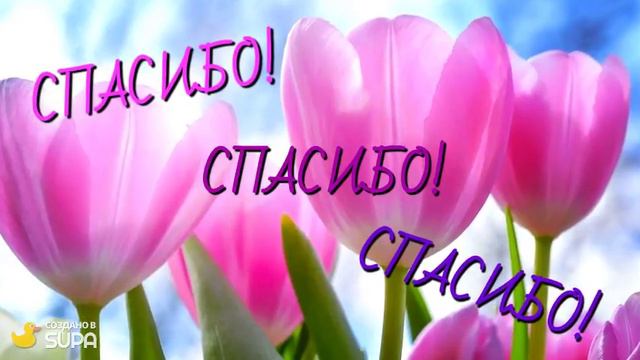 Просто, спасибо всем, кто заходит на мой канал. смотреть онлайн