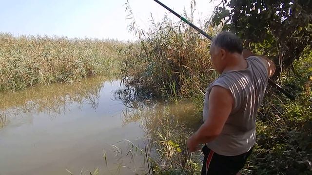 Рыбалка на р Аушедз смотреть онлайн