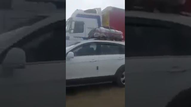 Томожни границу закрыли все го мира смотреть онлайн