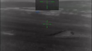 Охота на волка на вабу в Дагестане