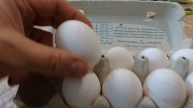 i АТБ Квочка яйца куриные Домашние Chicken eggs Homemade куплено в Украине Ukraine 20201126 смотреть онлайн