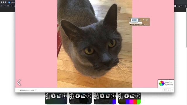 How To Enable Chrome Extensions on Local Files Images, Videos, PDF Etc смотреть онлайн