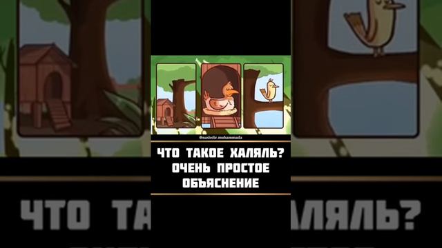 Что такое халяль? смотреть онлайн