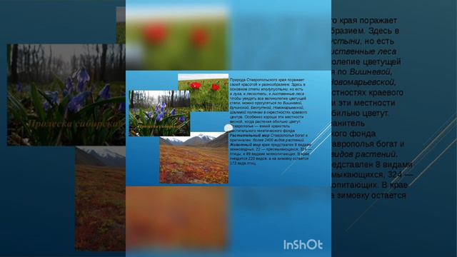 Наша малая родина Ставропольский край смотреть онлайн