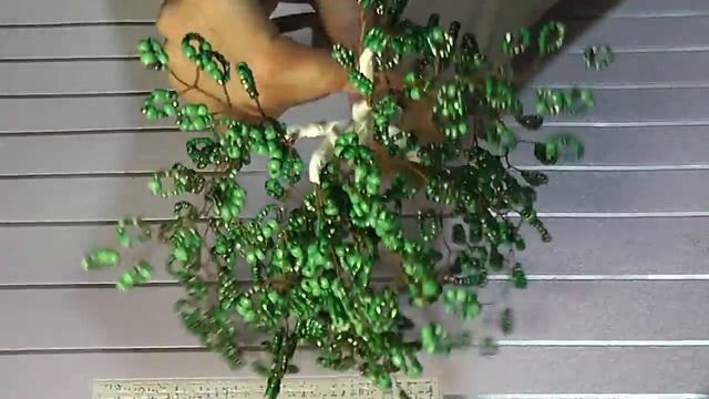 DIY Дерево из бисера. БЕРЕЗКА (мастер-класс) смотреть онлайн