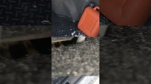 Как открыть капот и двери машины, если оставил ключи в машине без питания. Камри 30. Камри 35.