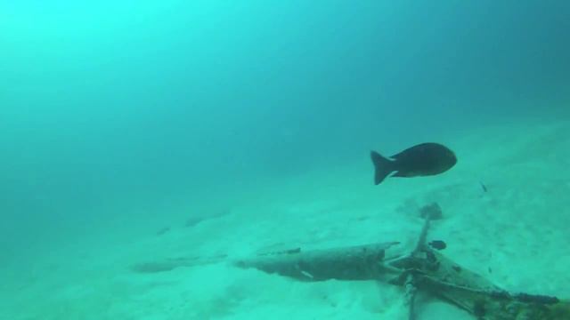 PT 1 - Diving with Jumeirah Vittaveli in The Maldives смотреть онлайн