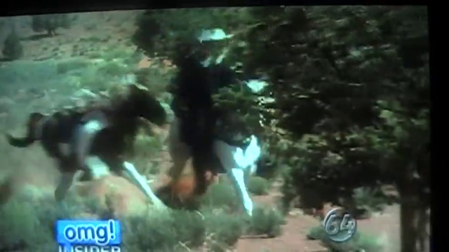 Джонни Депп о лошадях