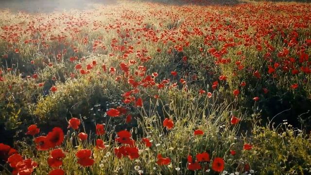 ЧЕТВЕРГ! Практика ДНЯ! Домашняя магия на каждый день! Новая рубрика! смотреть онлайн