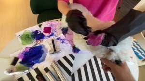 Крашу СОБАКУ в РАДУЖНЫЙ ЦВЕТ! ?