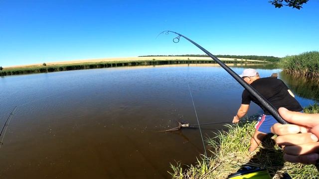 Ловля карпа и амура. Все курят, а мы ловим. Рыбалка как доктор прописал
