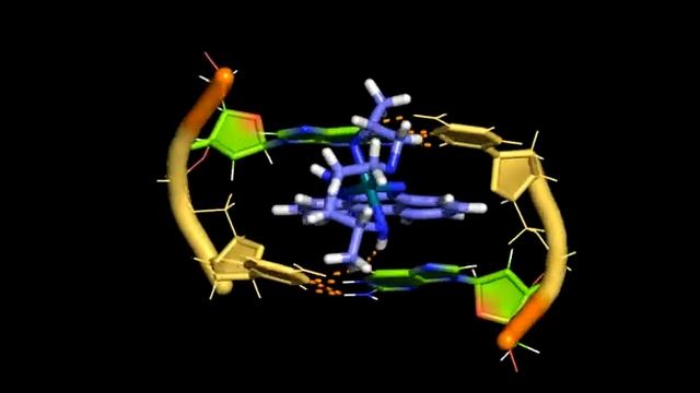 Rhodium complex binding to DNA in the major groove смотреть онлайн