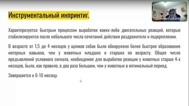 беседа о щенках ч 2 краткий обзор смотреть онлайн