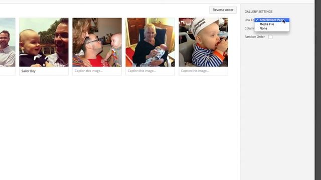 WordPress Image Galleries and FooBox Lightbox смотреть онлайн