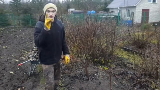Как подготовить плодовое дерево к зиме, чтобы оно не замёрзло! смотреть онлайн