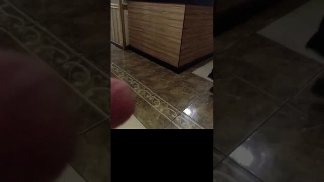 5000 в Яндекс доставка / курьер на велосипеде / велокурьер смотреть онлайн