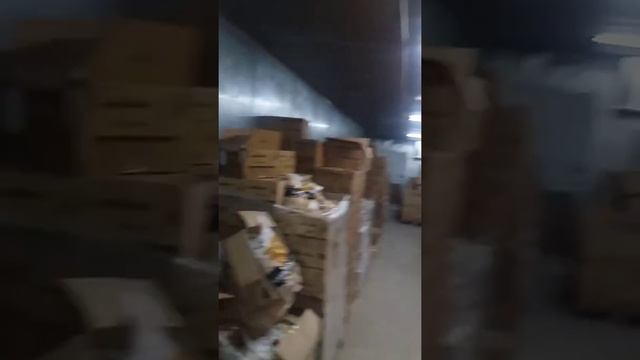 Ремонт Холодильной Камеры Г.Алматы смотреть онлайн