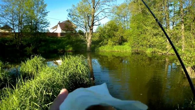 Мормышинг ! Первая рыбалка на OCTOPUS 6 ! Спиннинг тест прошел !! смотреть онлайн