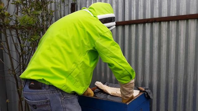 Семейка Бакфаст, спокойная как удав? - 26.05.2020 смотреть онлайн