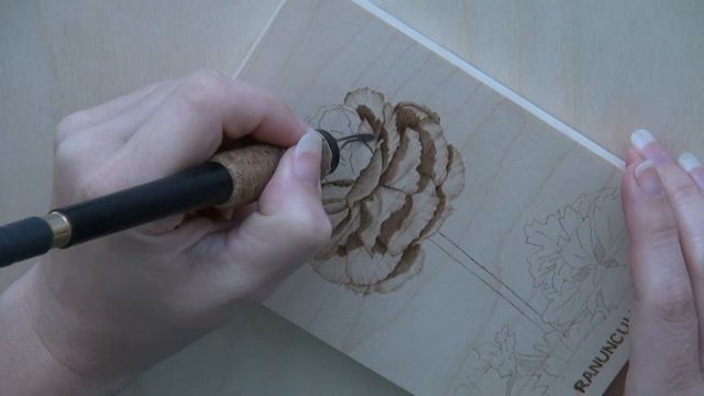 Wood burning art - Ranunculus Flower - pyrography time lapse art смотреть онлайн