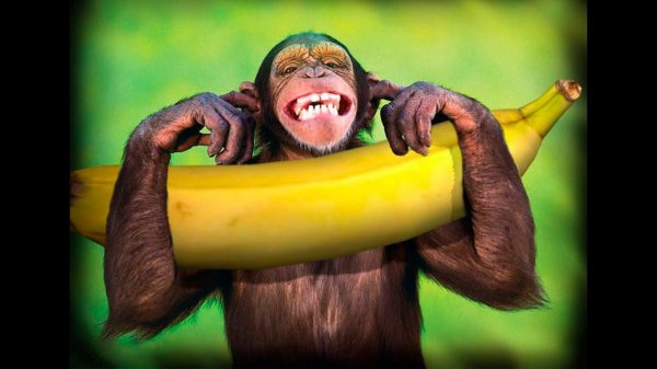 [FREE] Freestyle Trap Beat - MONKEY | KIZARU TYPE BEAT (prod. Sizha) 2021