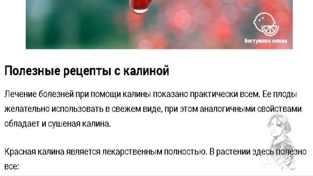 КАЛИНА КРАСНАЯ. ПОЛЬЗА РАСТЕНИЯ. ВИТАМИННЫЙ ОТВАР! смотреть онлайн