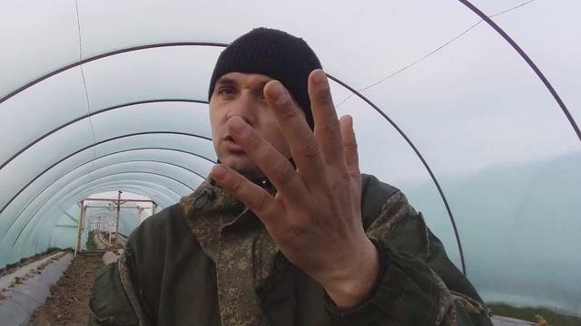 что такое рассада Фриго ее плюсы и минусы, давайте разберемся смотреть онлайн