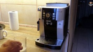 Кофемашина DeLonghi MagnificaS. Минусы и плюсы
