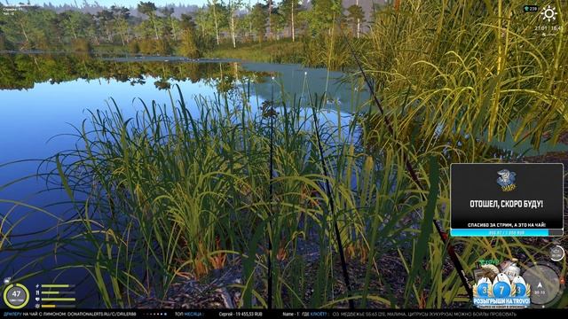 Ловля Карпа, Амура • Квалификация КАРПФИШИНГ • Русская Рыбалка 4 смотреть онлайн