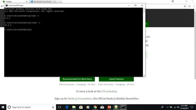 Angular 2 Dev Setup смотреть онлайн