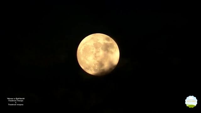 Гавайская Гитара и Гавайские острова смотреть онлайн