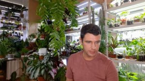 Обзор моих Эпифиллумов с фото цветения