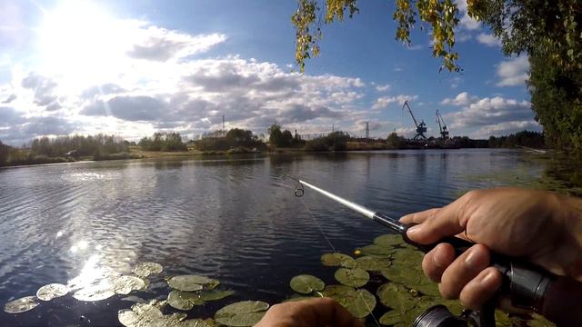 Zetrix Hayron HRS 742LML приступил к Работе. Новинка 2022 года.